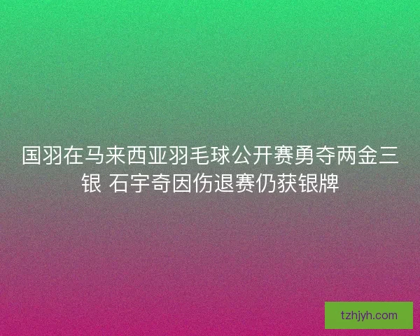 国羽在马来西亚羽毛球公开赛勇夺两金三银 石宇奇因伤退赛仍获银牌